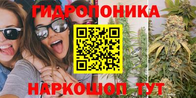 не бодяженный Камышлов